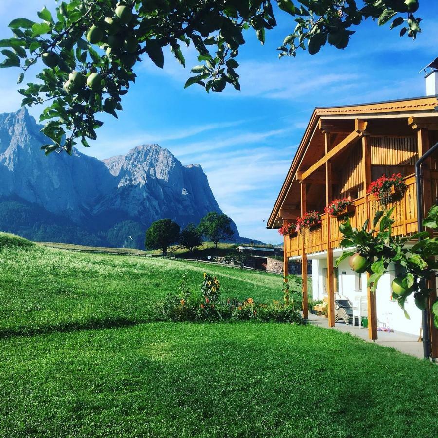 Apartments Schererhof Castelrotto Kültér fotó